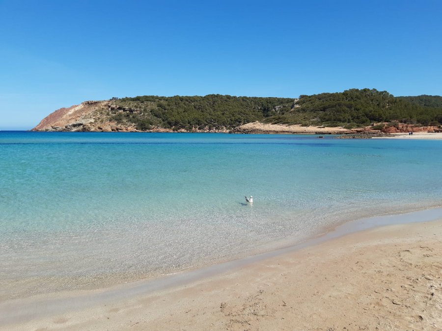 La Vall